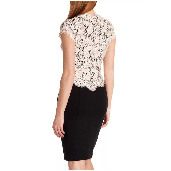 TED BAKER Sarvani Lace Bodice Dress Black Beige sz 2 US 6 Women's - Picture 3 of 9